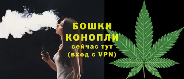 амф Вяземский