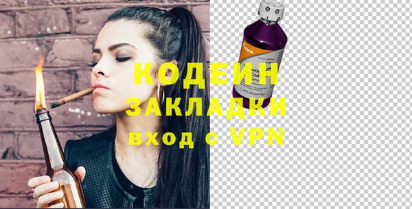 амф Вяземский