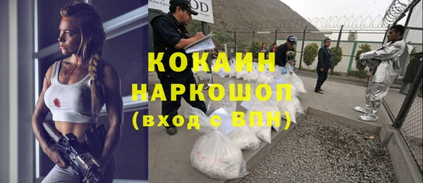 амф Вяземский