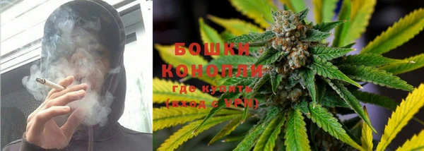 амф Вяземский