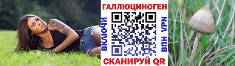 закладка  Дальнереченск  Галлюциногенные грибы прущие грибы 